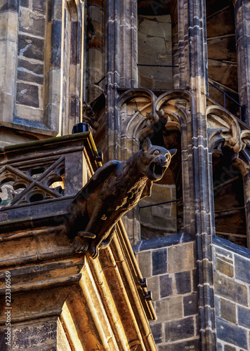 Gargoyle at Saint Vitus Cathedral, Prague Castle, Prague, Bohemia Region, Czech Republic photo