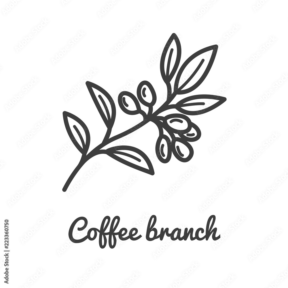 Coffee branch icon. Coffee plant. Branch of coffee icon in line style  design. Vector illustration. Stock Vector | Adobe Stock
