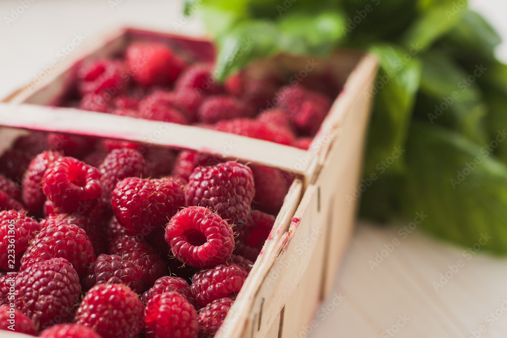 Close-up of a ripe juicy berry raspberry in a wicker basket against a background of green basil leaves - selective focus Close-up of a ripe juicy berry raspberry in a wicker basket against a background of green basil leaves - selective focus
