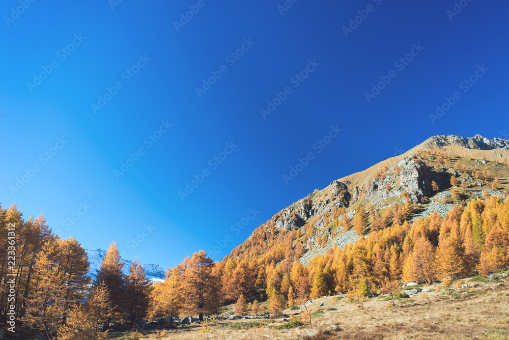 The golden valley in the Alps