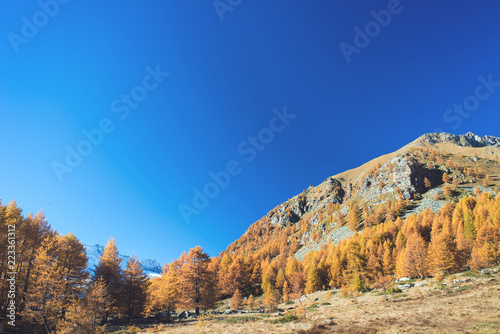 The golden valley in the Alps photo