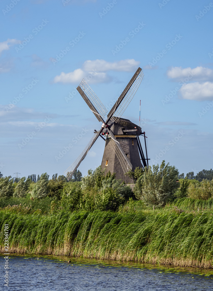 Obraz premium Windmill in Kinderdijk, UNESCO World Heritage Site, South Holland, The Netherlands
