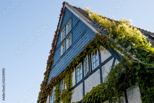 Historic framehouse with wine in germany photo