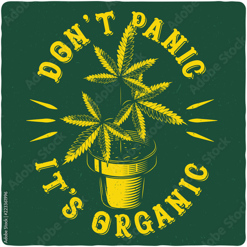 T-shirt or poster design with illustration of Cannabis in a pot. Label design with text composition.