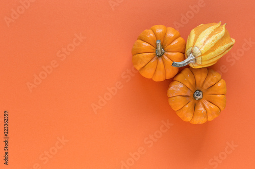 Halloween decoration background. pumpkins