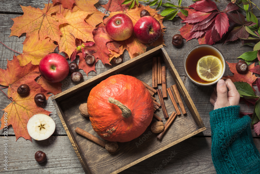 Hot cup of tea in hand with decor of pumpkins, apples and autumn leaves on wooden board. Top view. Hot cup of tea in hand with decor of pumpkins, apples and autumn leaves on wooden board. Top view.