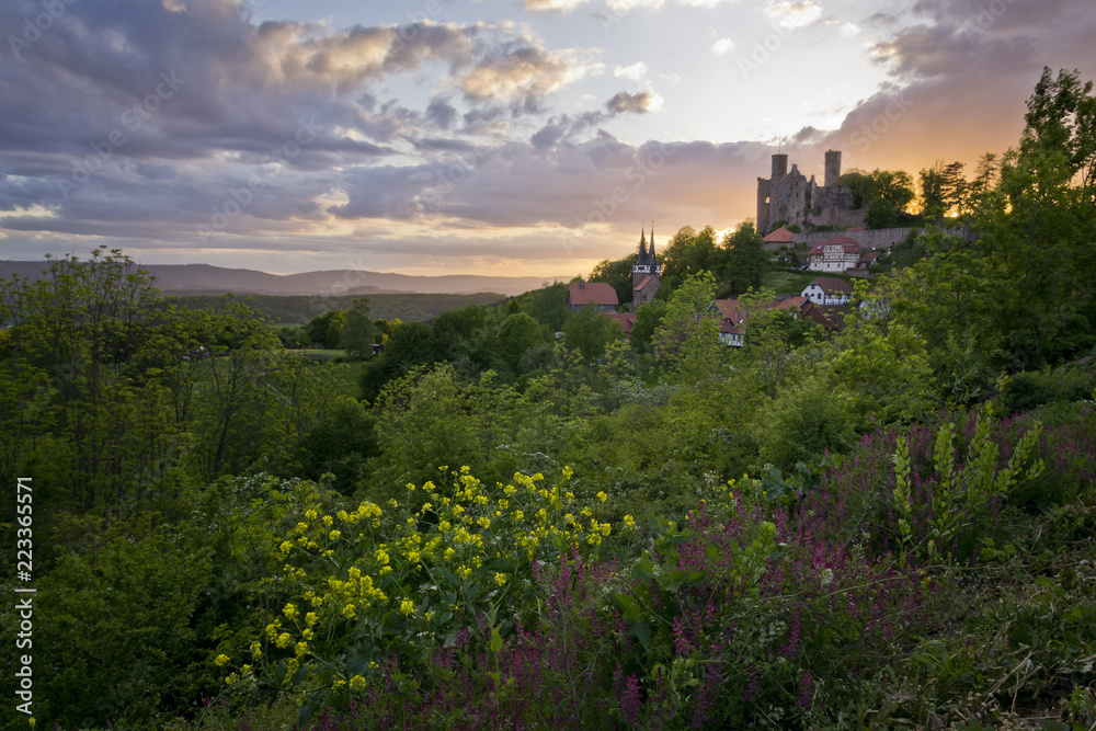 Burg Hanstein im Sommer
