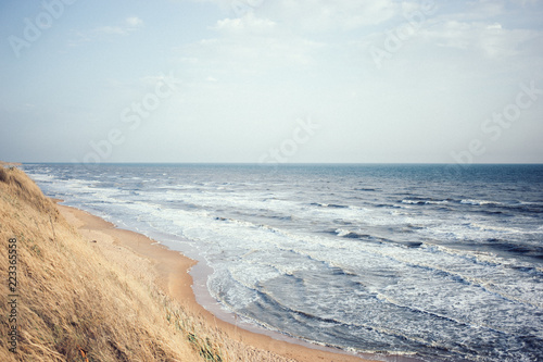 Fototapeta Naklejka Na Ścianę i Meble -  view of the sea, coastline, summer landscape