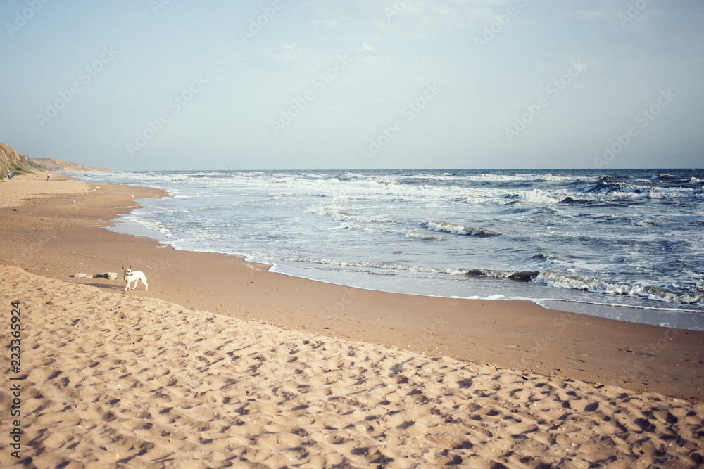 view of the sea, coastline, summer landscape