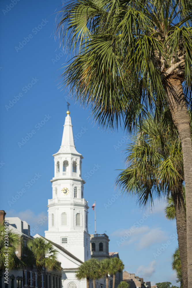 St Michael's church spire with focus on palmetto palms in the foreground in Charleston, South Carolina.