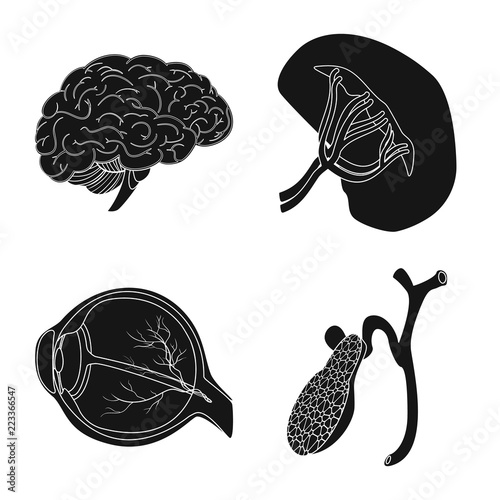 Vector design of body and human symbol. Set of body and medical stock vector illustration.