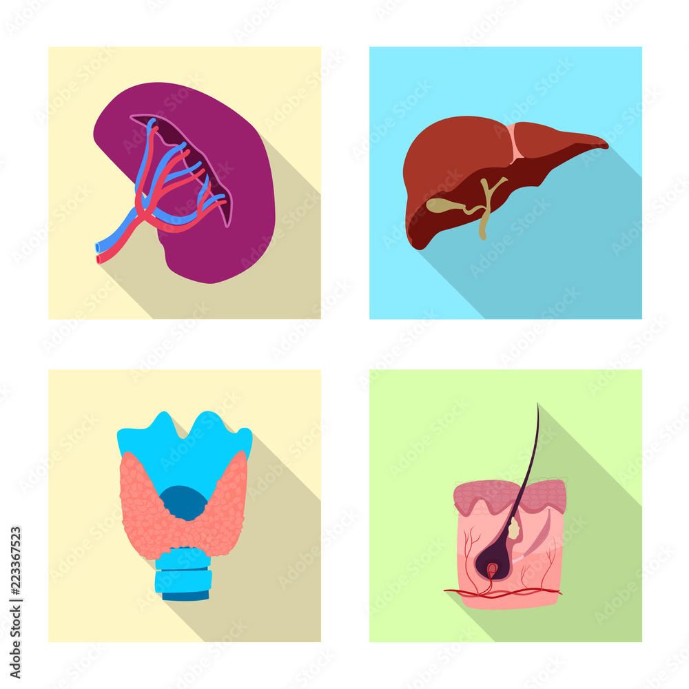 Isolated object of body and human sign. Collection of body and medical stock vector illustration.