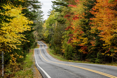 A road surrounded by fall color in New England
