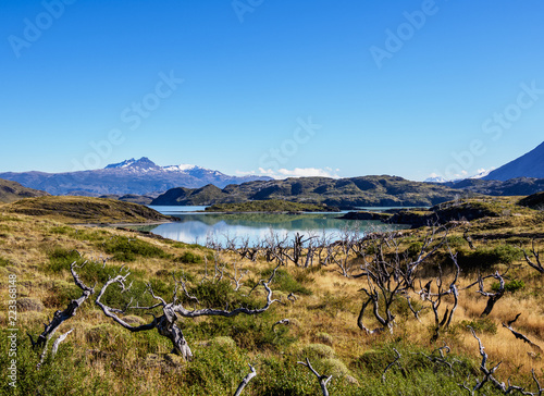 Nordenskjold Lake, Torres del Paine National Park, Patagonia, Chile photo