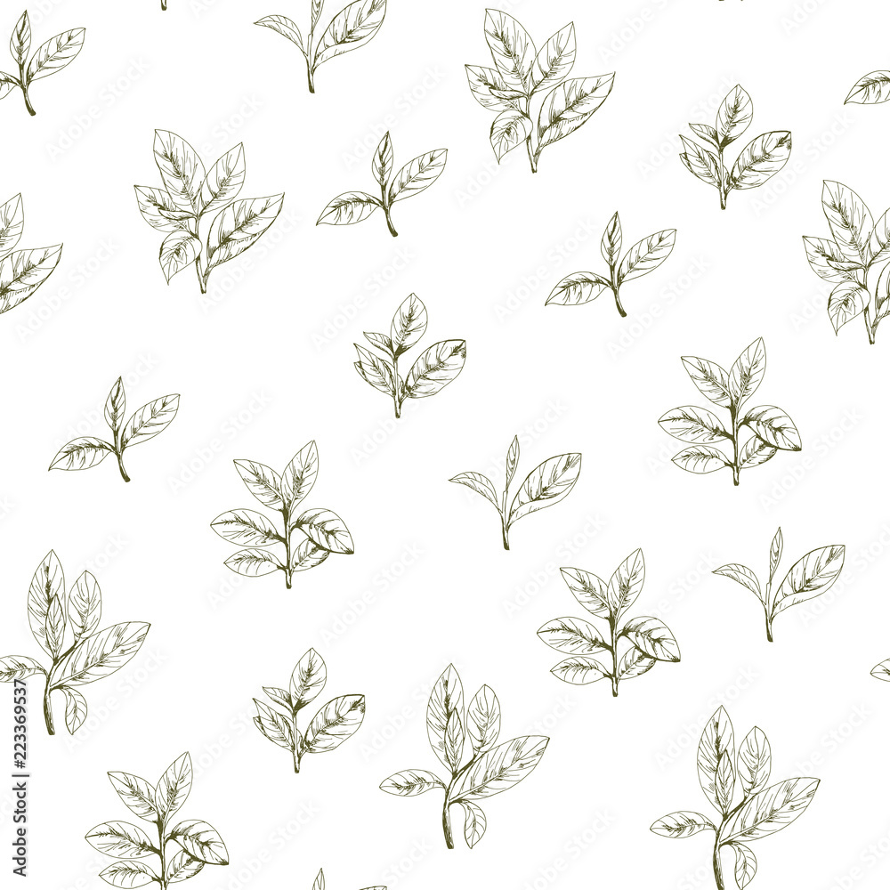 seamless pattern with green tea, hand-drawn leaves and branches of tea seamless pattern with green tea, hand-drawn leaves and branches of tea