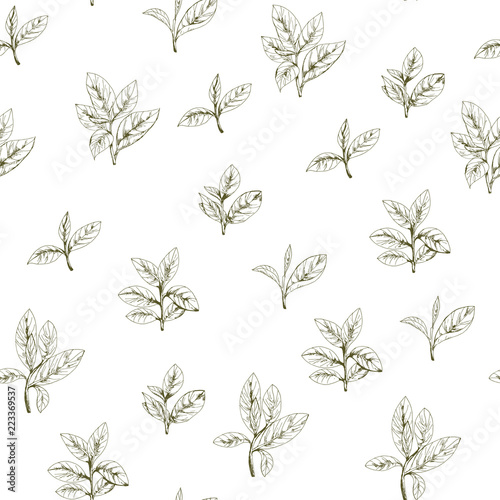 seamless pattern with green tea, hand-drawn leaves and branches of tea