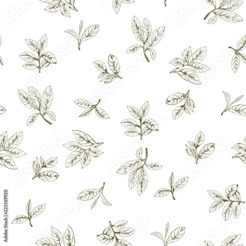 seamless pattern with green tea, hand-drawn leaves and branches of tea