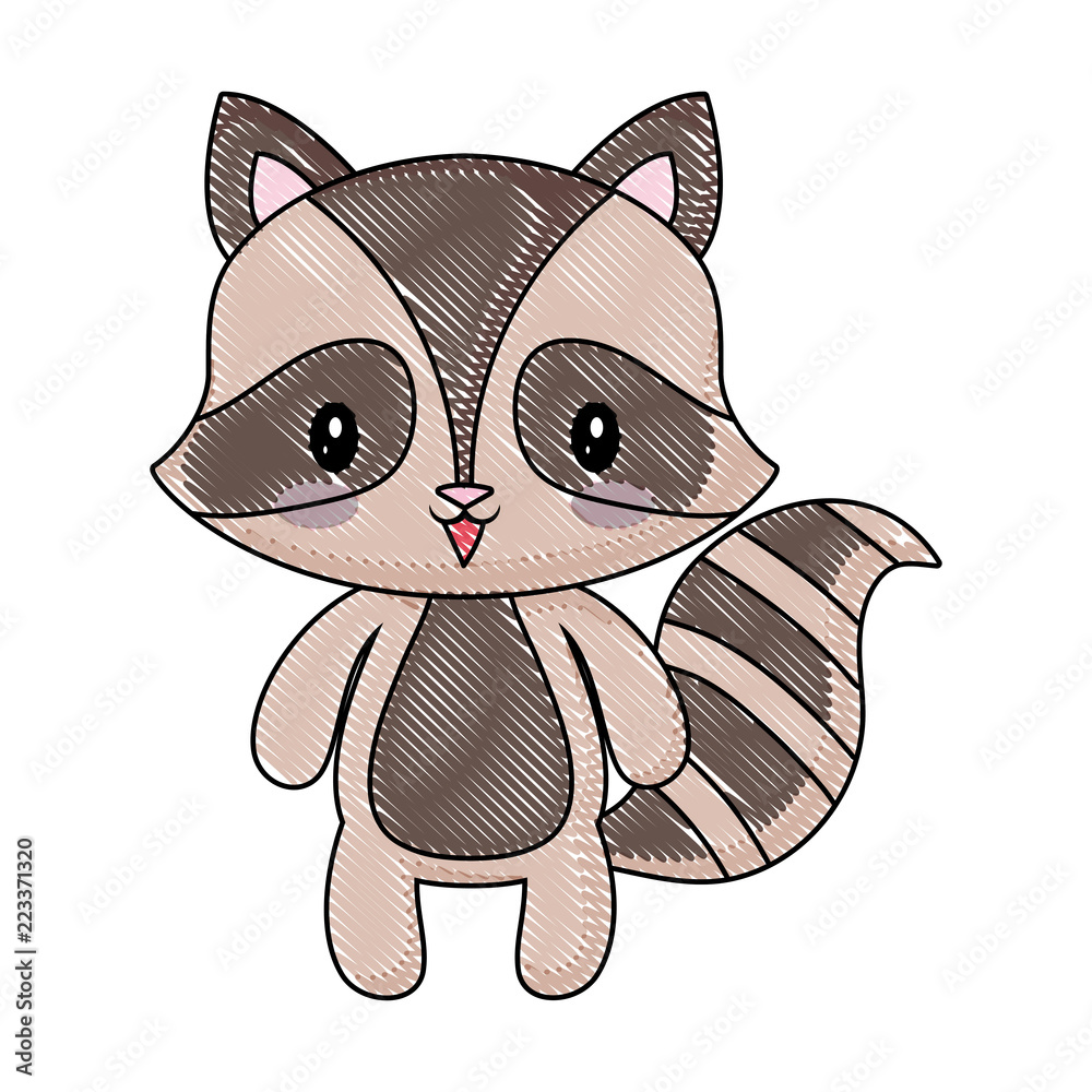 cute raccoon animal baby drawing Stock Vector | Adobe Stock