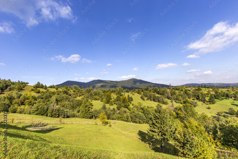 Hills and trees in Romania