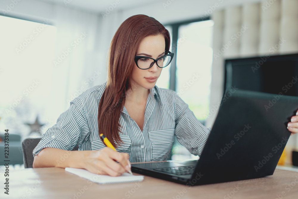Young diligent woman writing notes at laptop Young diligent woman writing notes at laptop
