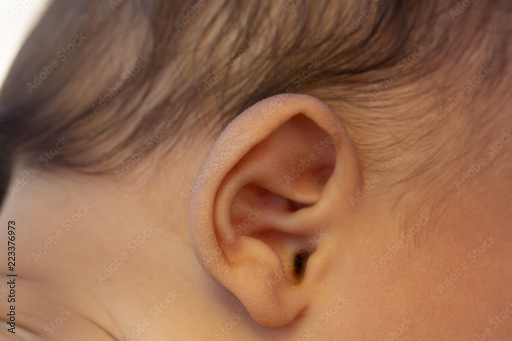 Closeup of ear of a newborn Closeup of ear of a newborn