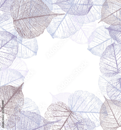 Festive winter background with frame of hoarfrost leaves