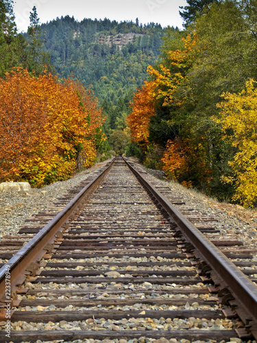 Fall Colors - Train Tracks