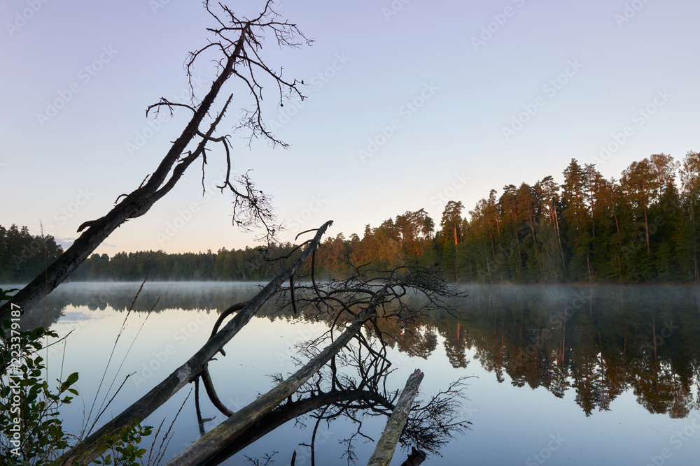 Sunshine over a lake in the background of the forest. Autumn sunrise in Lithuania. Sunshine over a lake in the background of the forest. Autumn sunrise in Lithuania.