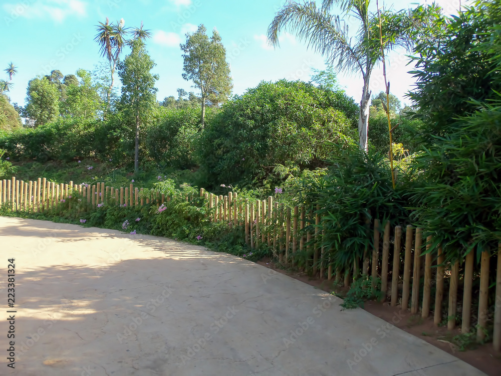 A coridor in the zoo A coridor in the zoo