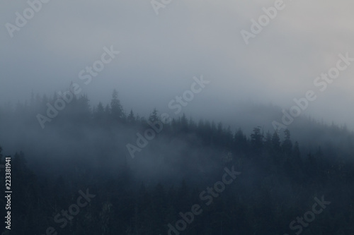 Nebel am Abend in Alaska
