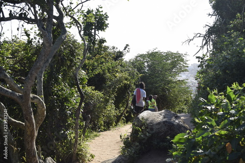 Trilha em floresta tropical © Luis Soquetti