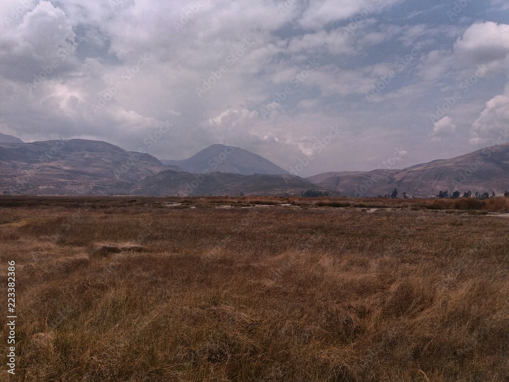 yellow and reddish prairie, distant trees, distant mountains, blue sky with white clouds and black background location near the city of Cusco, Peru.