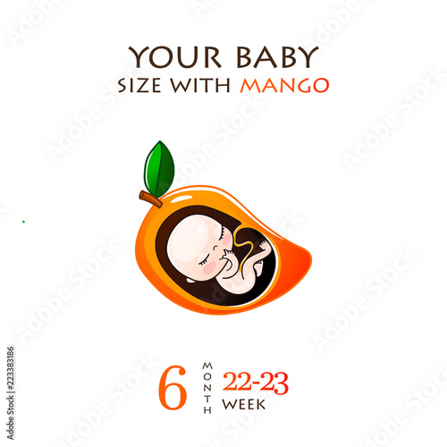 Stages of development of pregnancy, the size of the embryo for weeks. Human fetus inside the womb 1 to 9 months.Vector illustrations