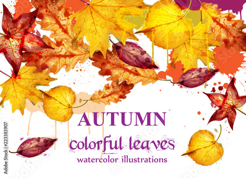 Autumn leaves watercolor Vector decor background. Fall banner template. Yellow colors