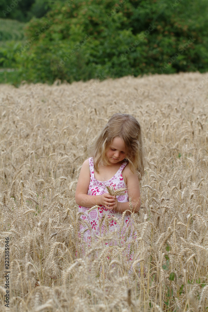 Little blonde girl walking on a wheat field Little blonde girl walking on a wheat field