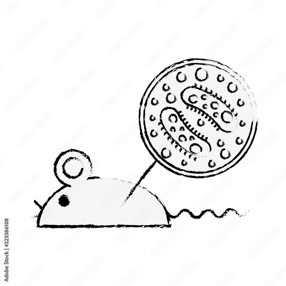 laboratory rat infecting virus experiment laboratory rat infecting virus experiment