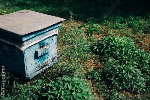 an old Hives of bees in the apiary