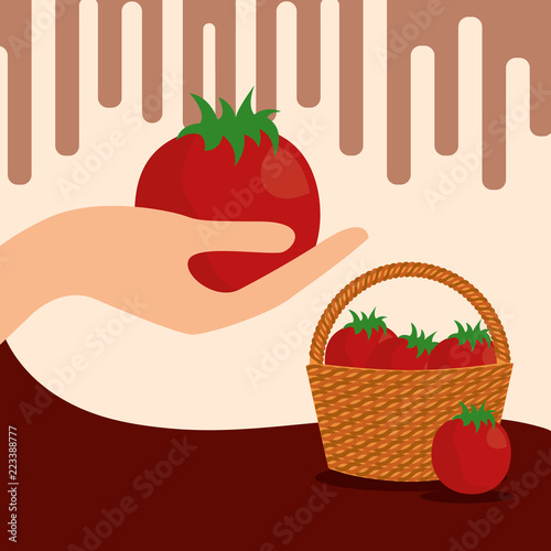 vegetables fresh natural