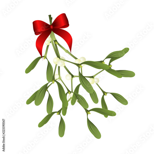 Christmas sprig of mistletoe. Stock Vector by ©Ann_art 55075121