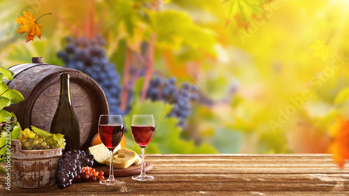 Vines with grapes and old c...