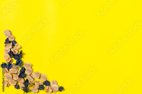 dried flowers on yellow background
