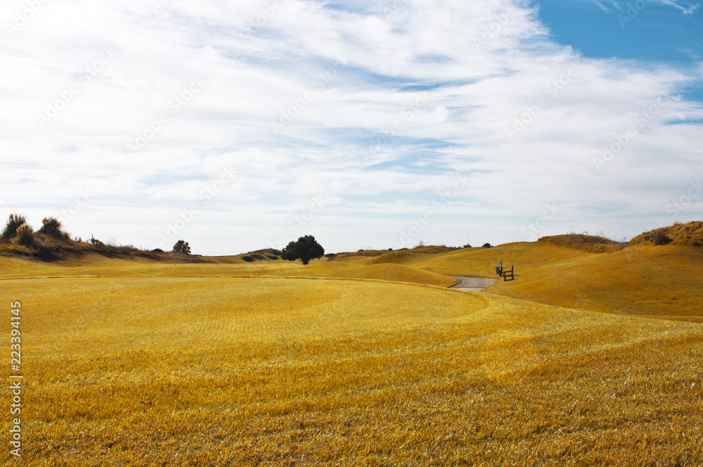 Autumn landscape. Yellow field meadow and blue sky