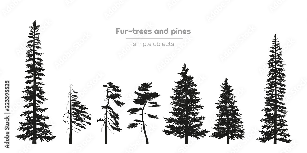 Pine forest hand drawing background sketch nature Stock Illustration   Adobe Stock