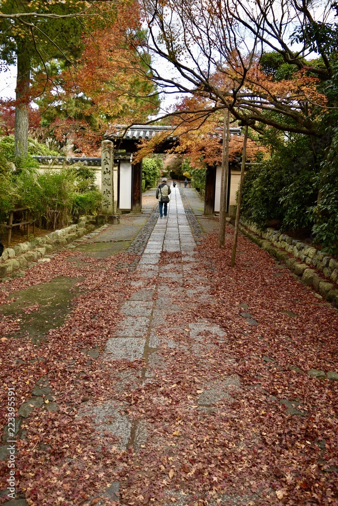 Obraz premium 紅葉の京都龍安寺