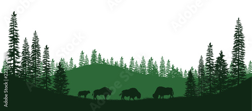 Black silhouettes of american bison. Natural panorama of forest animals. Isolated landscape. Wildlife scene. Vector illustration