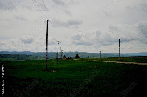 Las słupów 