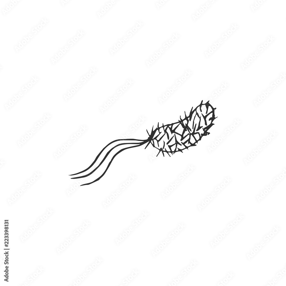 bacteria sign isolated on white background, vector illustration bacteria sign isolated on white background, vector illustration
