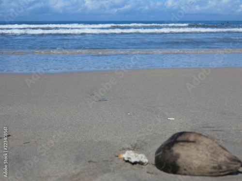 beach in bali