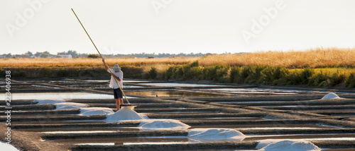 Marais salant sur l'île de Noirmoutier