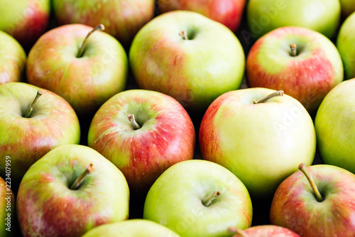 Apples, harvest, fresh fruit, close-up